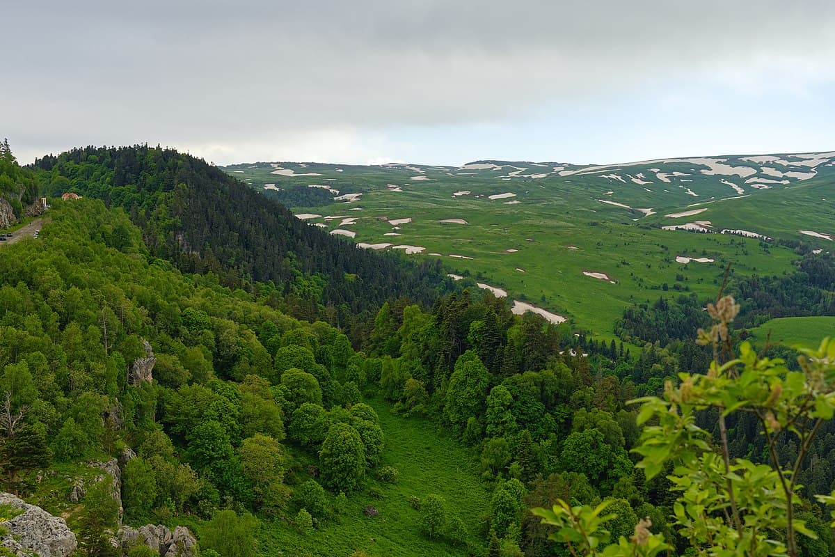Плато Лагонаки — альпийские луга