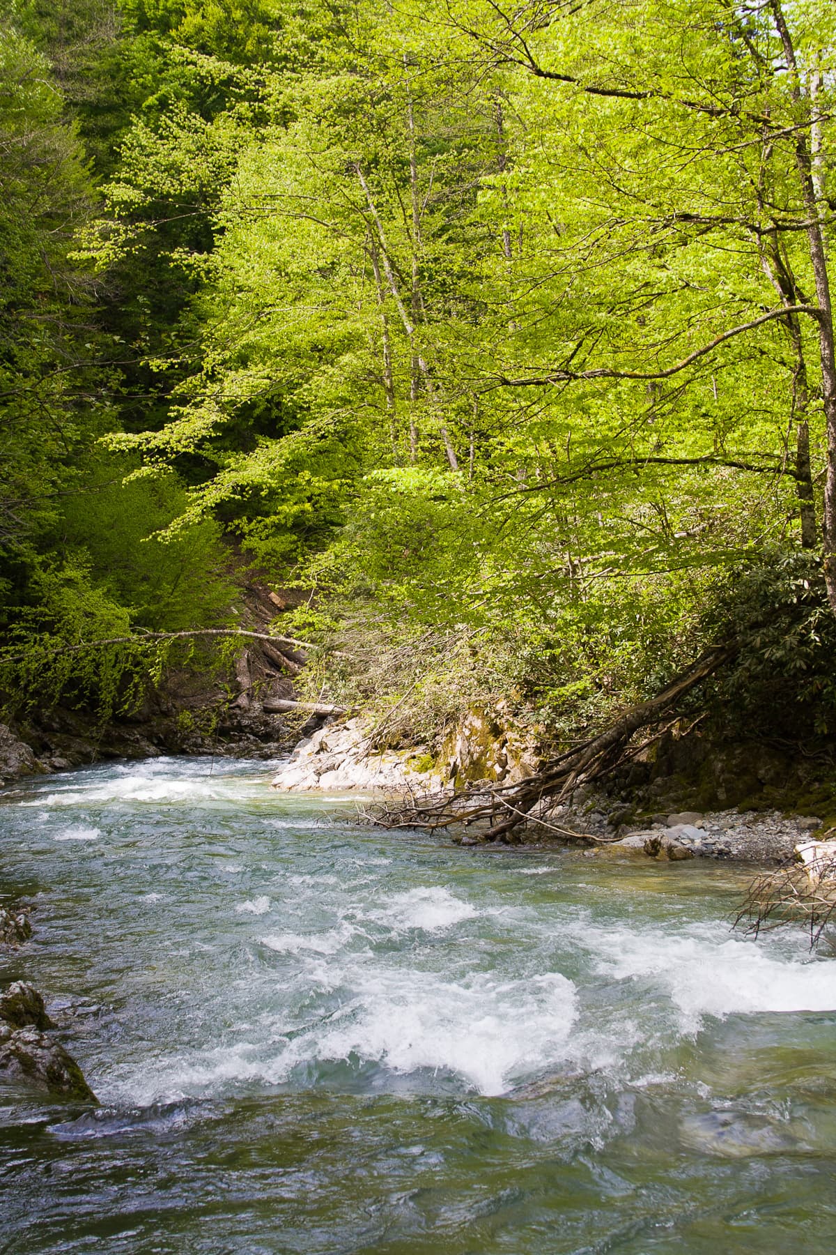 Река Пшеха — горная река